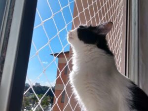 Redes de proteção para Janelas