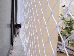 Rede de proteção para Gatos e Pets