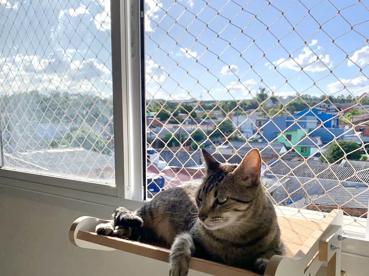 Redes de protecao para janela com gatinho